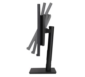 Asus | PA328QV | 32 " | IPS | QHD | 16:9 | 75 Hz | 5 ms | 2560 x 1440 pixels | 350 cd/m² | HDMI ports quantity 2