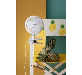 Adler | Fan with clip | AD 7317 | Table Fan | White | Diameter 15 cm | Number of speeds 2 | 30 W