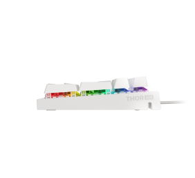 Genesis | THOR 303 | White | Gaming keyboard | Wired | RGB LED light | US | 1.8 m | Brown Switch