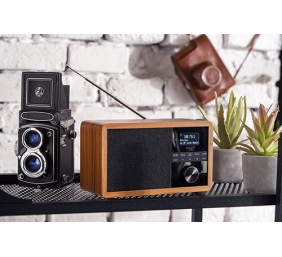 Adler | Radio DAB+ Bluetooth | AD 1184 | Alarm function | Black/Brown