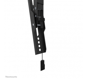 Neomounts Wall mount | WL35-550BL14 TV mount wall | Tilt | 32-75 " | Maximum weight (capacity) 50 kg | Black