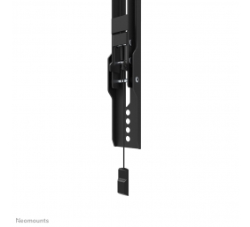 Neomounts Wall mount | WL35-550BL14 TV mount wall | Tilt | 32-75 " | Maximum weight (capacity) 50 kg | Black