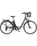 Telefunken Multitalent RC822, City E-Bike, Motor power 250 W, Wheel size 28 ", Warranty 24 month(s),  White/Red
