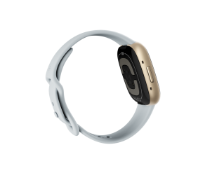 Sense 2 | Smart watch | NFC | GPS (satellite) | AMOLED | Touchscreen | Activity monitoring 24/7 | Waterproof | Bluetooth | Wi-Fi | Blue Mist/Soft Gold