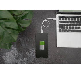 Digitus | Lightning to USB-C data/charging cable | DB-600109-020-W | USB-C to Lightning Apple Lightning 8-pin | USB C