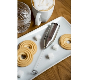 Adler | Milk frother with a stand | AD 4500 | Milk frother | Stainless Steel