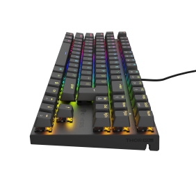 Genesis | THOR 303 TKL | Black | Mechanical Gaming Keyboard | Wired | RGB LED light | US | USB Type-A | 865 g | Replaceable "HOT SWAP" Switches