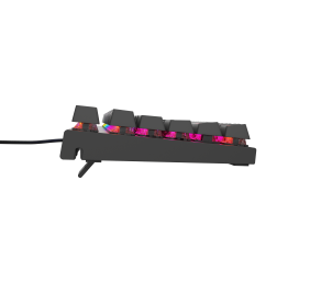 Genesis | THOR 303 TKL | Black | Mechanical Gaming Keyboard | Wired | RGB LED light | US | USB Type-A | 865 g | Replaceable "HOT SWAP" Switches