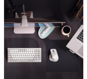 Belaidė pelė Logitech MX Master 3S for MAC - Pale Grey