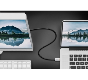 Goobay | USB-C to DisplayPort Adapter Cable | Silver/Black | Type-C | DisplayPort | USB-C to DisplayPort | 2 m