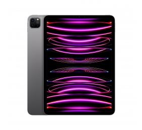 iPad Pro 11" Wi-Fi 1TB - Space Gray 4th Gen | Apple
