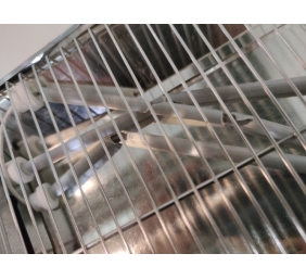 Ecost prekė po grąžinimo, Cecotec Grille-Pain Horizontal Turbo Easytoast Basic (Noir)