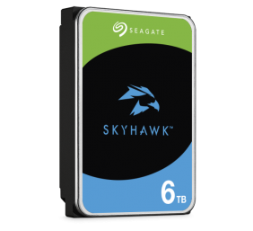 Seagate ST6000VX009 SkyHawk | 6000 GB | 256 MB