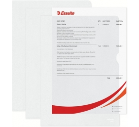 Ecost prekė po grąžinimo, Esselte TS-110386 A4 formato reljefinis aplankas, skaidrus, 100 vnt.