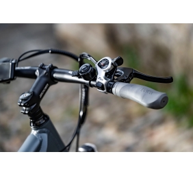 Lancia Genio E-Bike, City E-Bike, Motor power 250 W, Wheel size 27.5 ", Warranty 24 month(s), Silver