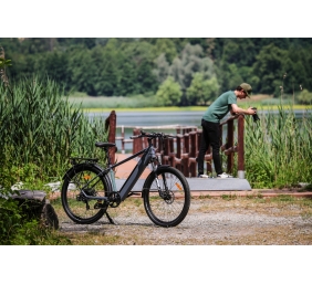 Lancia Genio E-Bike, City E-Bike, Motor power 250 W, Wheel size 27.5 ", Warranty 24 month(s), Silver