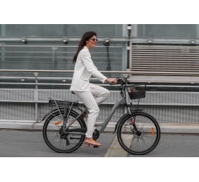 Lancia  Incanto, City E-Bike, Motor power 250 W, Wheel size 26 ", Warranty 24 month(s), Silver