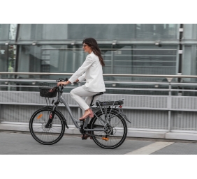 Lancia  Incanto, City E-Bike, Motor power 250 W, Wheel size 26 ", Warranty 24 month(s), Silver