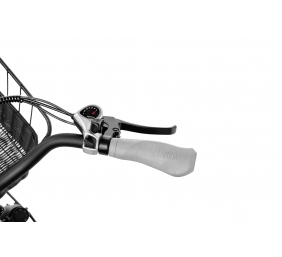 Lancia  Incanto, City E-Bike, Motor power 250 W, Wheel size 26 ", Warranty 24 month(s), Silver