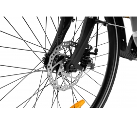 Lancia  Incanto, City E-Bike, Motor power 250 W, Wheel size 26 ", Warranty 24 month(s), Silver
