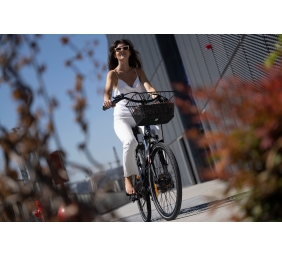 Lancia  Incanto, City E-Bike, Motor power 250 W, Wheel size 26 ", Warranty 24 month(s), Silver