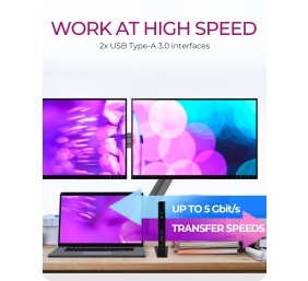 Raidsonic | Icy Box USB 3.2 Gen 1 Notebook DockingStation | IB-DK2251AC | Dock | HDMI ports quantity 2