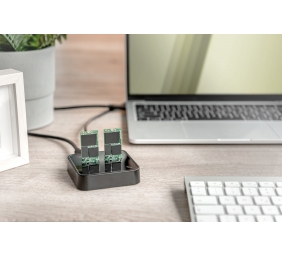 DIGITUS NVMe Clone station USB3.1 Gen2