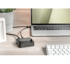 DIGITUS NVMe Clone station USB3.1 Gen2