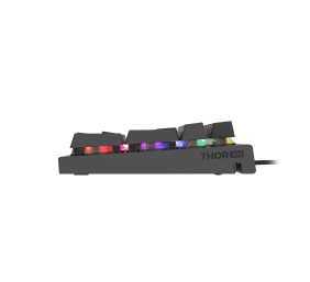 Genesis | THOR 303 | Black | Mechanical Gaming Keyboard | Wired | RGB LED light | US | USB Type-A | 1152 g | Outemu Red