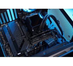 Kingston KF560C36BBE-32 32GB 6000MT/s DDR5 CL36 DIMM FURY Beast Black EXPO | Kingston