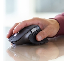 Logitech MX Keys Combo for Business Gen 2 Belaidė klaviatūra + pelė +Atrama riešui, US Int, Graphite
