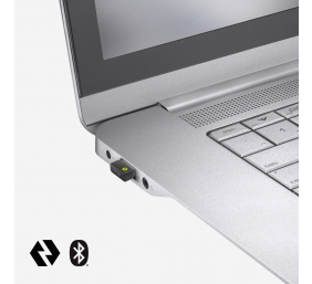Logitech MX Keys Combo for Business Gen 2 Belaidė klaviatūra + pelė +Atrama riešui, US Int, Graphite