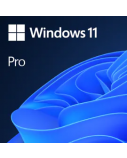 Microsoft | Windows 11 Pro | FQC-10572 | All Languages | ESD