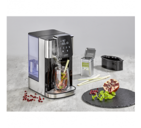 Caso | Turbo Hot Water Dispenser | HW 1660 | Water Dispenser | 2600 W | 4 L | Plastic/Stainless Steel | Black/Stainless Steel