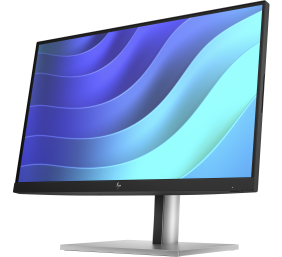 HP E22 G5 21.5i FHD Monitor (EN)