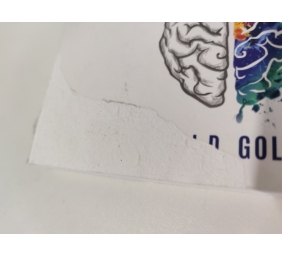 Ecost prekė po grąžinimo Knyga Ryan J.D. Goleman EMOCIJŲ INTELIGENCIJA: 4 knygos