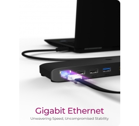 ICY BOX IB-DK2116-C Multi-Docking St