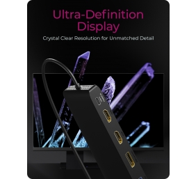 ICY BOX IB-DK2116-C Multi-Docking St