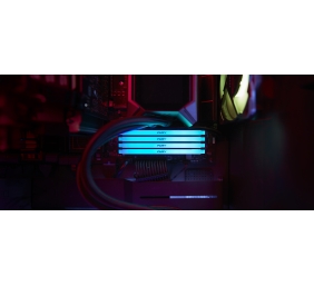 Kingston | FURY Beast RGB | 32 GB | DDR4 | 1600 MHz | PC/server | Registered No | ECC No
