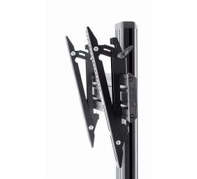 EDBAK | TRV100 | Trolleys & Stands | 42-75 " | Maximum weight (capacity) 70 kg | Black