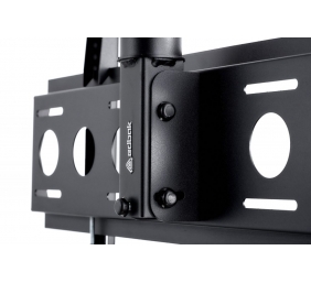 EDBAK | Ceiling mount | CMS21 | 40-75 " | Maximum weight (capacity) 60 kg | Black