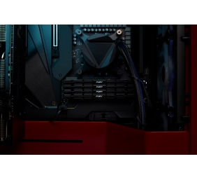 Kingston KF436C16RB12K2/32 32GB 3600MT/s DDR4 CL16 DIMM (Kit of 2) 1Gx8 FURY Renegade Black | Kingston