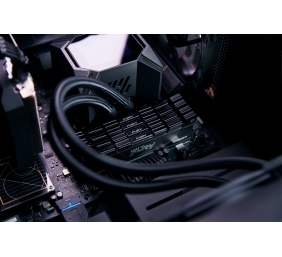 Kingston KF436C16RB12K2/32 32GB 3600MT/s DDR4 CL16 DIMM (Kit of 2) 1Gx8 FURY Renegade Black | Kingston