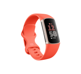 Charge 6 | Fitness tracker | NFC | Band - Coral; Case - Champagne Gold Aluminium