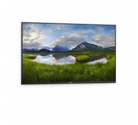 Dell | 4K Conference Room Monitor | P5524Q | 55 " | Landscape | 8 ms | 178 ° | 178 °