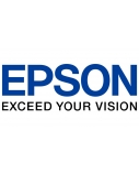 Epson FA10030 Print Head, PRINT HEAD,IC856V-3