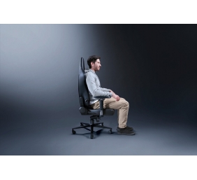 Razer Gaming Chair with Lumbar Support Iskur V2 EPU Leather, Aluminium | Black