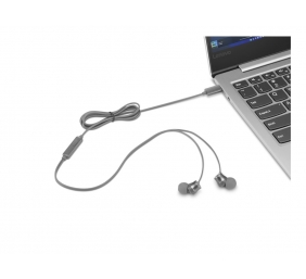 Lenovo | 300 USB-C In-Ear Headphone | GXD1J77353 | Built-in microphone | Wired | Grey