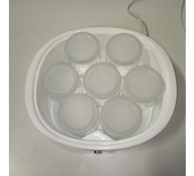 Ecost prekė po grąžinimo Girmi YG0300 Yogurt Maker – White