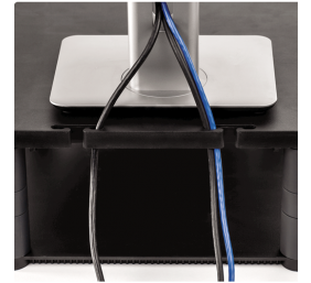 Fellowes | Desk Mount | Height adjustment | 21 " | Maximum weight (capacity) 36 kg | Graphite/Gray